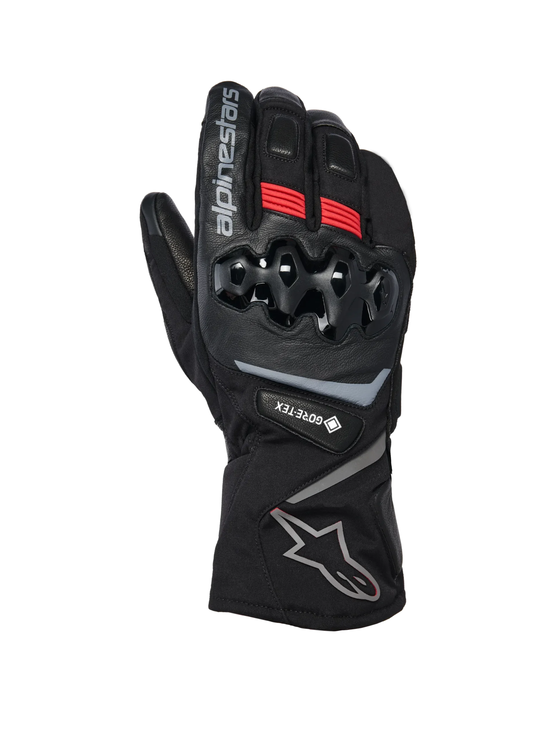 WT-8 Gore-Tex Insulated Gloves